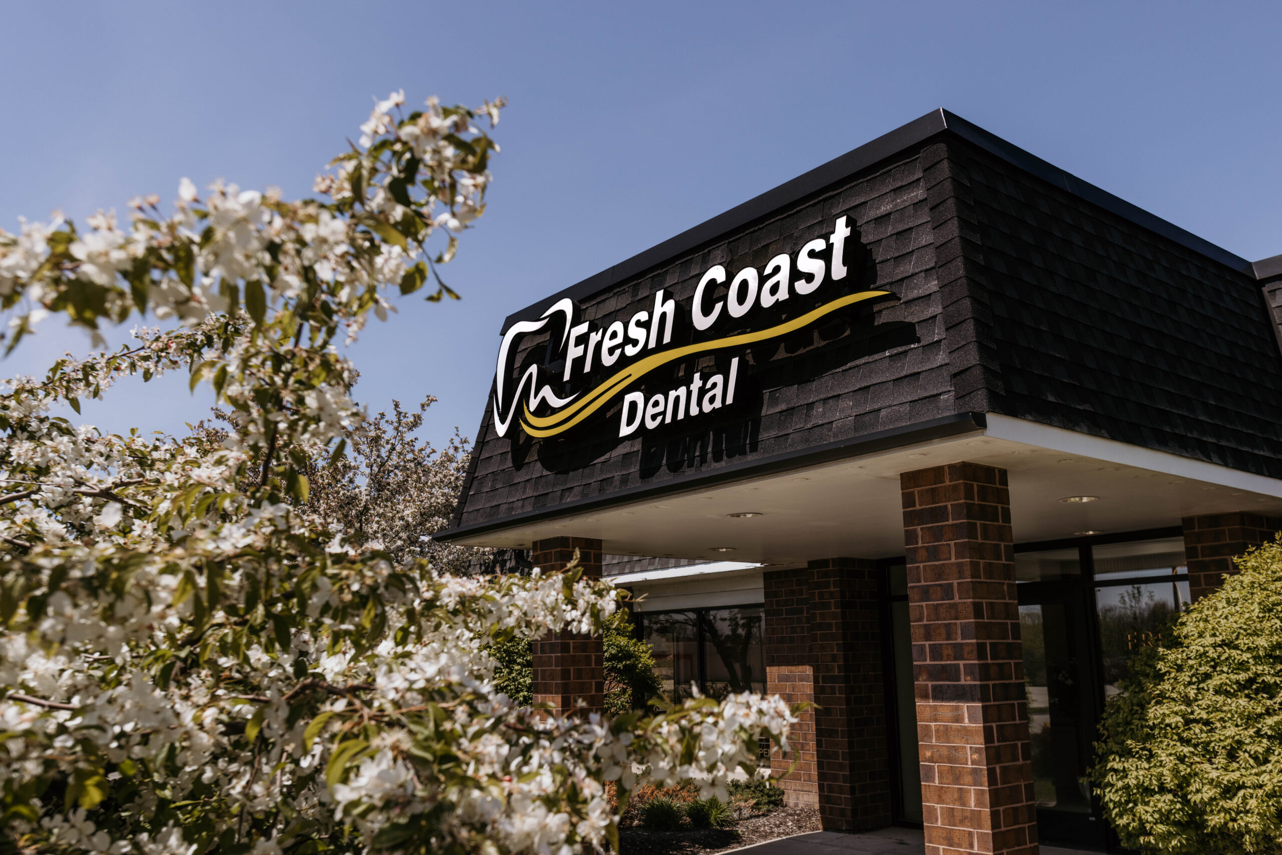 Dental Patient Smile Results